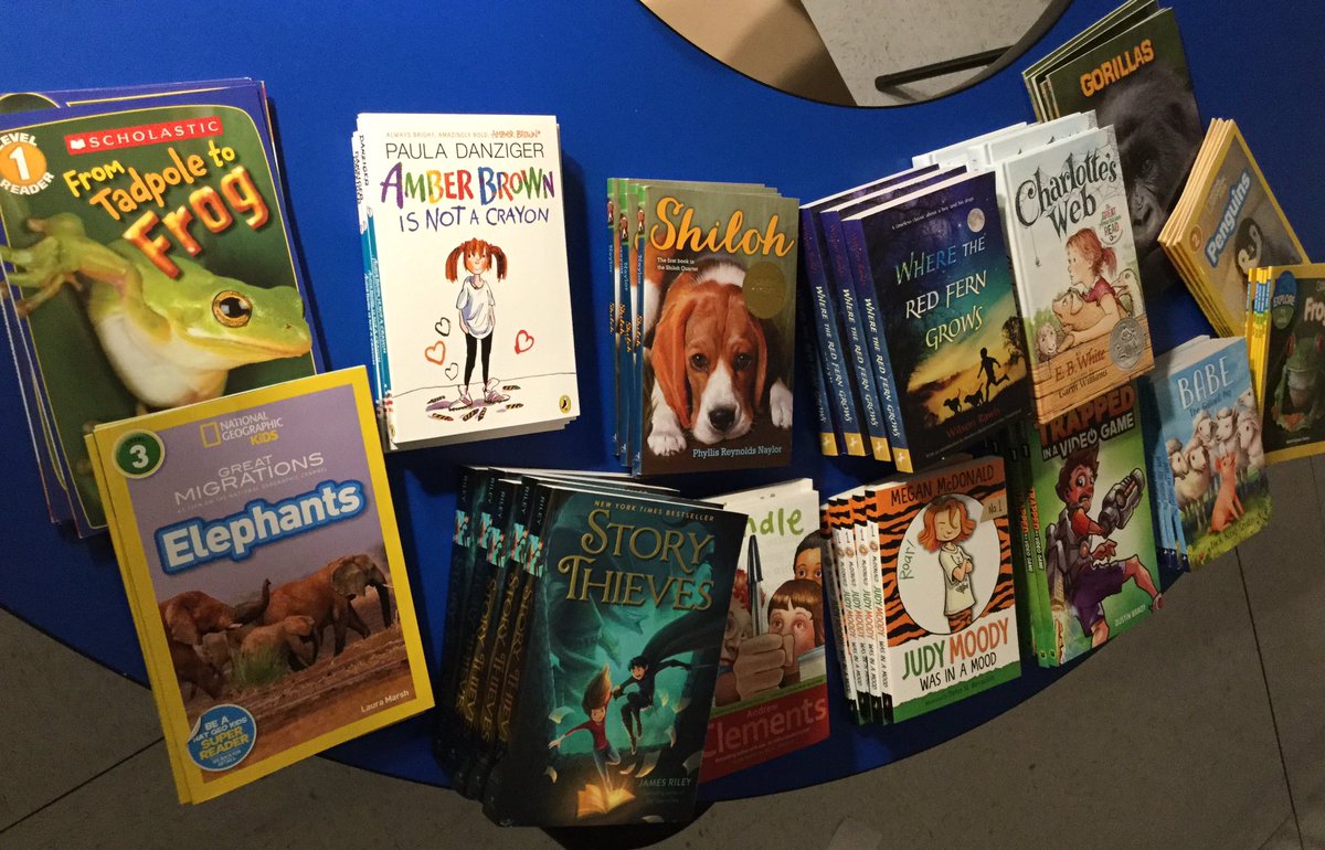 Michelle Steshoski tweet media