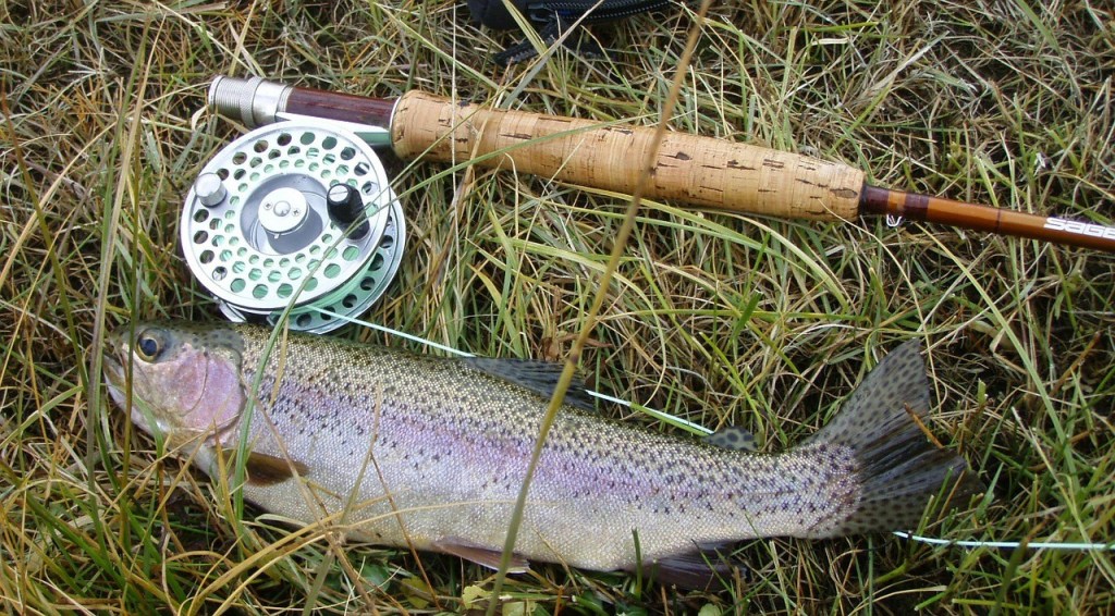 Chilbolton Fly Fishing newc4u.com/index.php/2020…