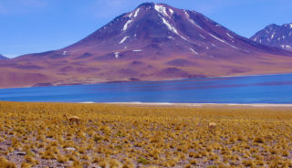 Felisa_Palacio's tweet photo. Viaje a Chile. Grupo Verano. La magia del desierto de Atacama y de la Isla de Pascua con Ester Tarragó https://t.co/773EVrS41o https://t.co/DL3HJju2hn