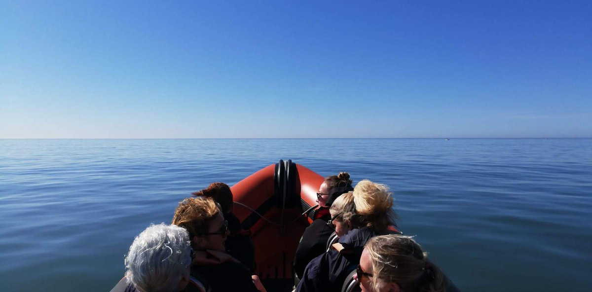 wildwatchpt's tweet photo. first #dolphin trip into the blue... https://t.co/syOaT0hJoS