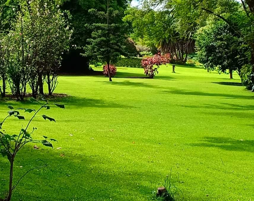 OutspanHotelN's tweet photo. Known for our well manicured gardens, Contact us for your photosession, Wedding reception and any outdoor event. #Outspanhotel#Gardens#magicalkenya https://t.co/SQ2jvjFba3