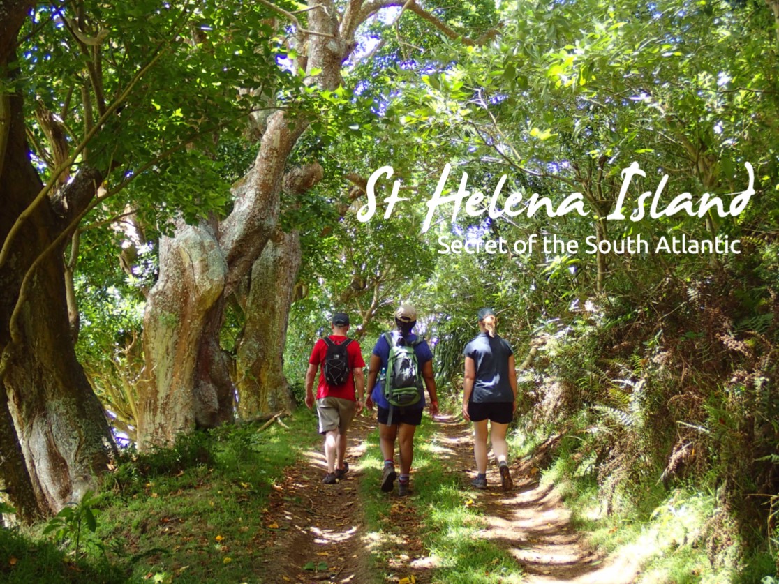 sthelenatourism's tweet photo. We could really take to the country and hide beneath the Peak Dale trees right about now… #WalkStHelena #VisitStHelena https://t.co/nuDixPYMmt https://t.co/tEUlR0poq5