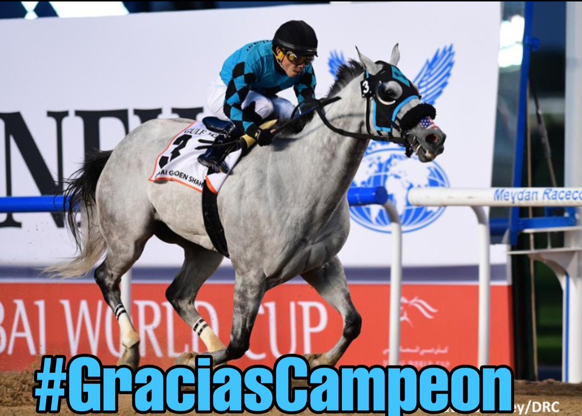 PicksDeporte's tweet photo. Gracias por tantas emociones brindadas. Dios tarda pero no olvida campeón y pronto pagarán los responsables de tu muerte. #xyjet #xyjetcampeon #idoloenmultitudes #hipismosindrogas https://t.co/kOfWPz1sgC