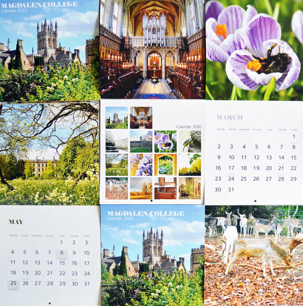 Magdalen College tweet media