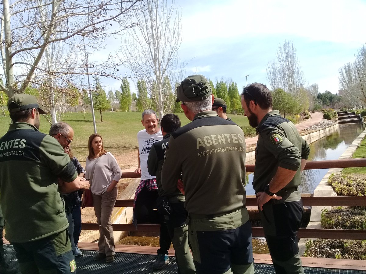 riosconvida's tweet photo. @AMBERtools visita la @DipuGuadalajara para una sesión con los #AAMM @CCOOAgentesJCCM y técnicos de #JCCM sobre #FragmentacionFluvial #BarrierTracker #ValidacionObstaculos https://t.co/wVehHt2gA4