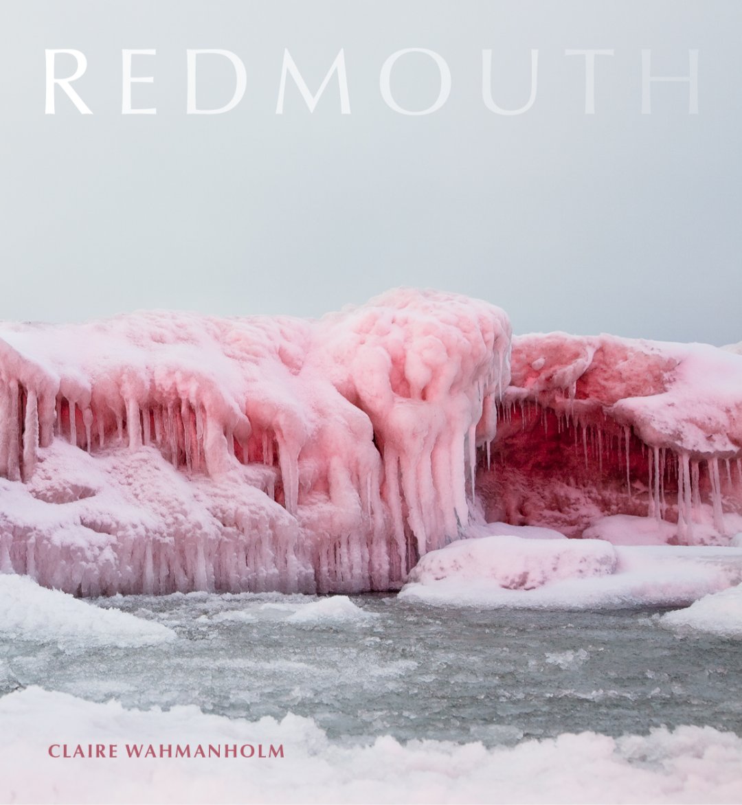 WH_Review's tweet image. Congrats to current students Jacqueline Balderrama, @matty_layne, and to @UofUEnglish alumnus @cwahmanholm,  so lovely to see these new books on the #AWP20 and #AWPvirtualbookfair floor! @Milkweed_Books @TinderboxEdns @FLPress @RedHenPress