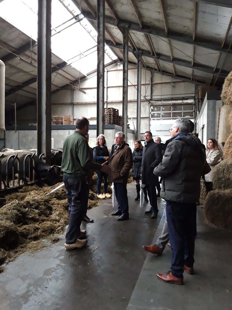 evacalicher's tweet photo. GS Gelderland op bezoek bij agrarische bedrijven in Oosterwolde en Hattem. GS willen verkennen wat de sector nodig heeft. Hoe kunnen we als provincie bedrijven helpen bij een mooi toekomstperspectief? #groengelderland #boereningelderland @provgelderland @LTONoord https://t.co/3eViXJNbzd