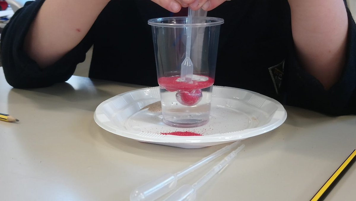 Bristol College Prep School @bcnpps blasted into the final frontier to start Science Week. Juniors from Yr5 &amp; 6 analysed Mars sand and built sensors for a safe rocket launch. Yr 7 &amp; 8 used microchemistry and electronics to set a new record for their age group. Absolute stars!