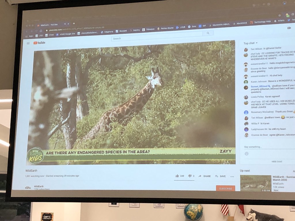 SkaggsLibrary's tweet photo. Practice Skype #5! We went on an African Safari and learned about the amazing and beautiful creatures there by watching them in their natural habitat! @HuffinesMS @CoachSchultheis #HFMSWorldTour #Africa #Safari https://t.co/jcyzjL3Asy