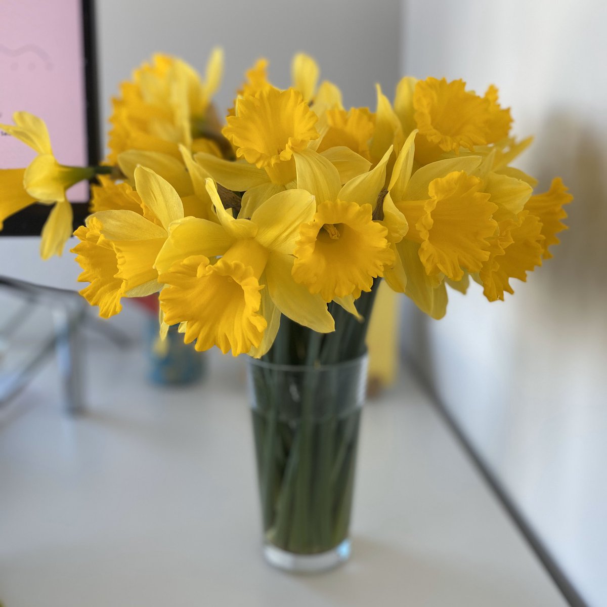 Trying to ease my worries about the virus affecting business by buying daffodils. Not sure if it’s working but they’re sure pretty
