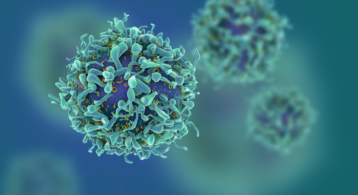 With outbreaks of #coronavirus, it may be appropriate in some circumstances for businesses to offer flexible arrangements such as #remoteworking. Read our best practices on navigating coronavirus in the workplace here:

acuitylaw.com/insights/coron…