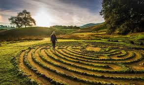 SVI Women will be a time for hard work AND restoration and rejuvenation. We’ll gather at the EarthRise Retreat Center, a semi-rural retreat center offering so many opportunities for self-reflection and restoration. Read more here. noetic.org/earthrise/