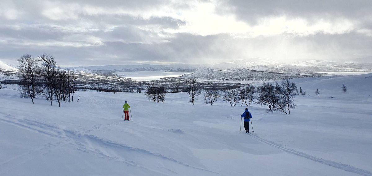 Not a bad day for taking beginners skiing 😎
#adventurematters #exploremore #getoutside #laplandexpeditions #lapland #69degreesnorth #crosscountryskiing #blackandwhitephotography #arcticeurope #samsungs10plus #kilpisjärvioutdoorclub