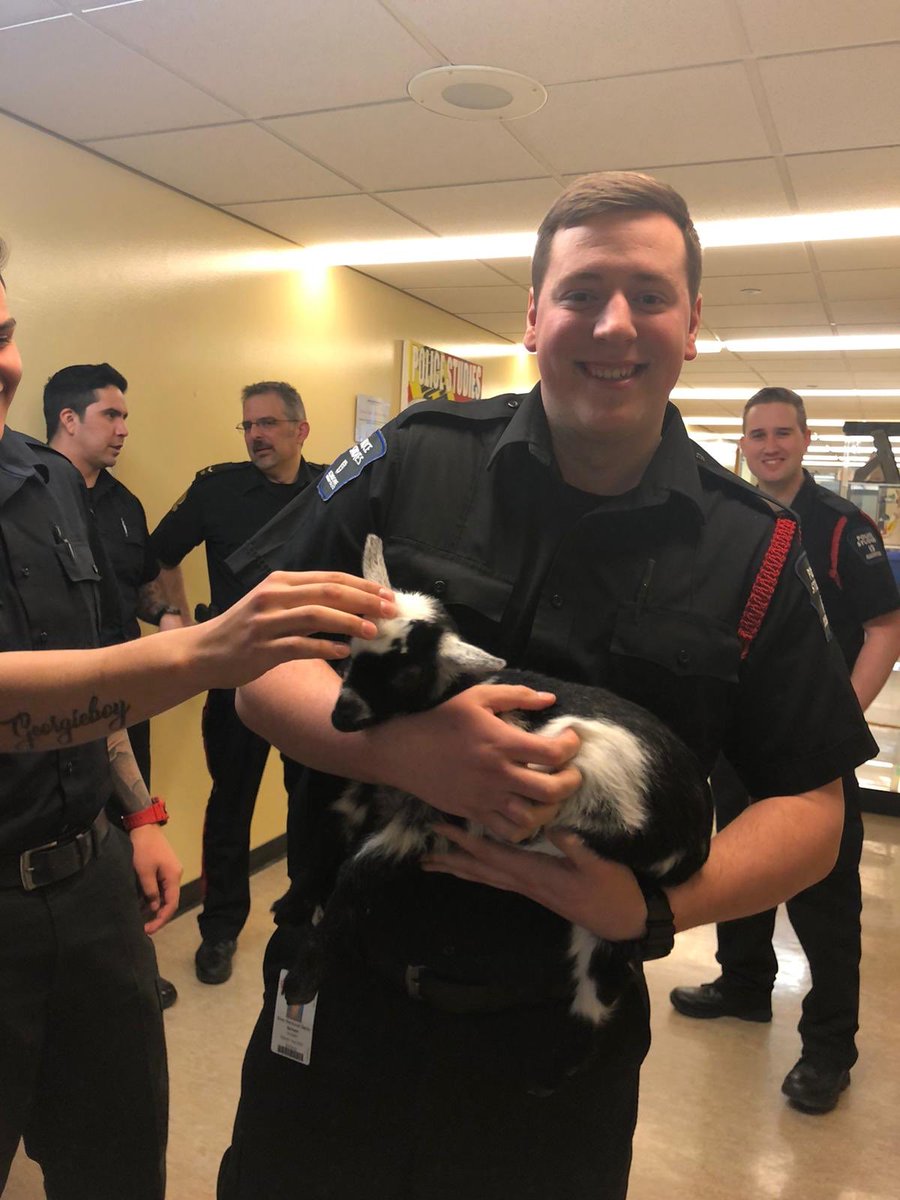 ACC_PS's tweet photo. Had a couple of visitors to class today thanks to our PT instructor CST. Green! https://t.co/lHzk9a8SIw