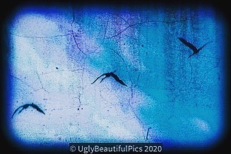 BeautifulUglies's tweet photo. #UglyBeautifulPics #beautifullyuglypics #nikonphotocontest #ho wiseetheworldaroundme #lifejourneypitstop #happenstance #lifeofasocialworker #nikonwilderness #nikonphotography #puremichigan #beautyiseverywhere #beautifulisuglyisbeautiful #3% #findingmywayonmyown #resilience #… https://t.co/FA6b8nx85V