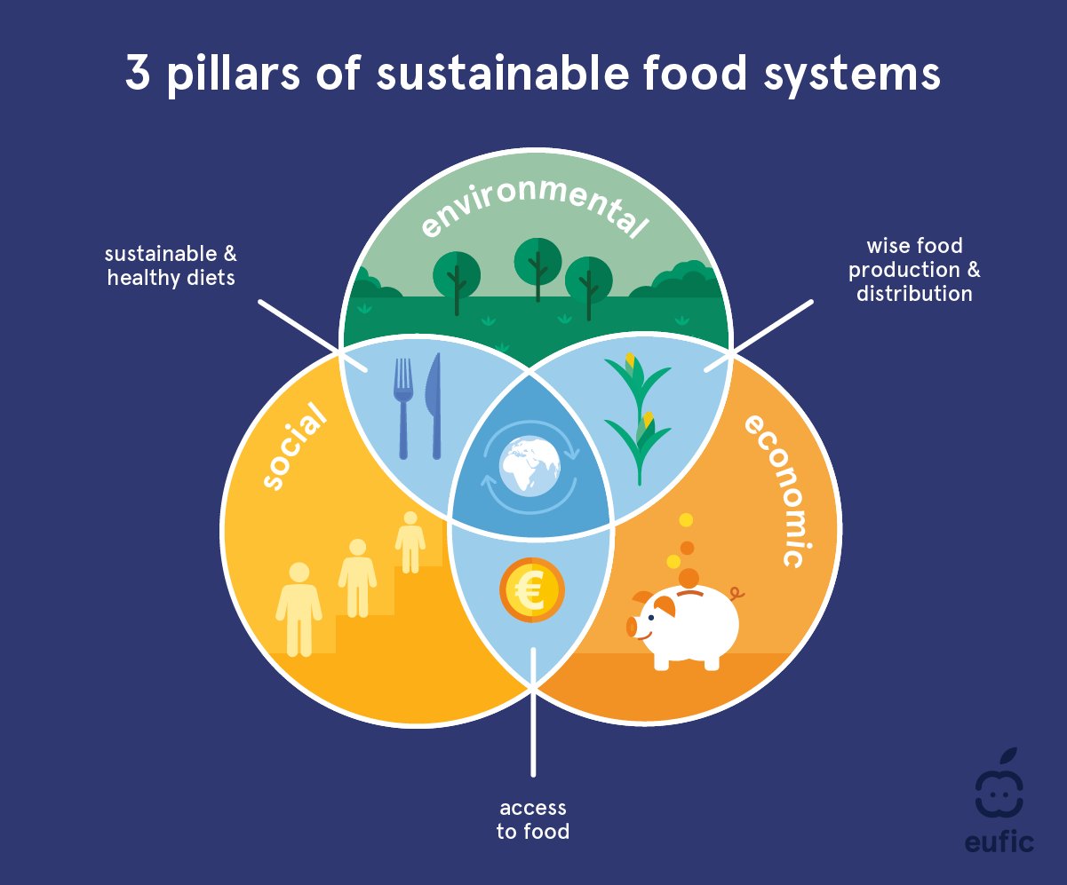 Sostenibilidad On Twitter RT EUFIC Environmental Social And
