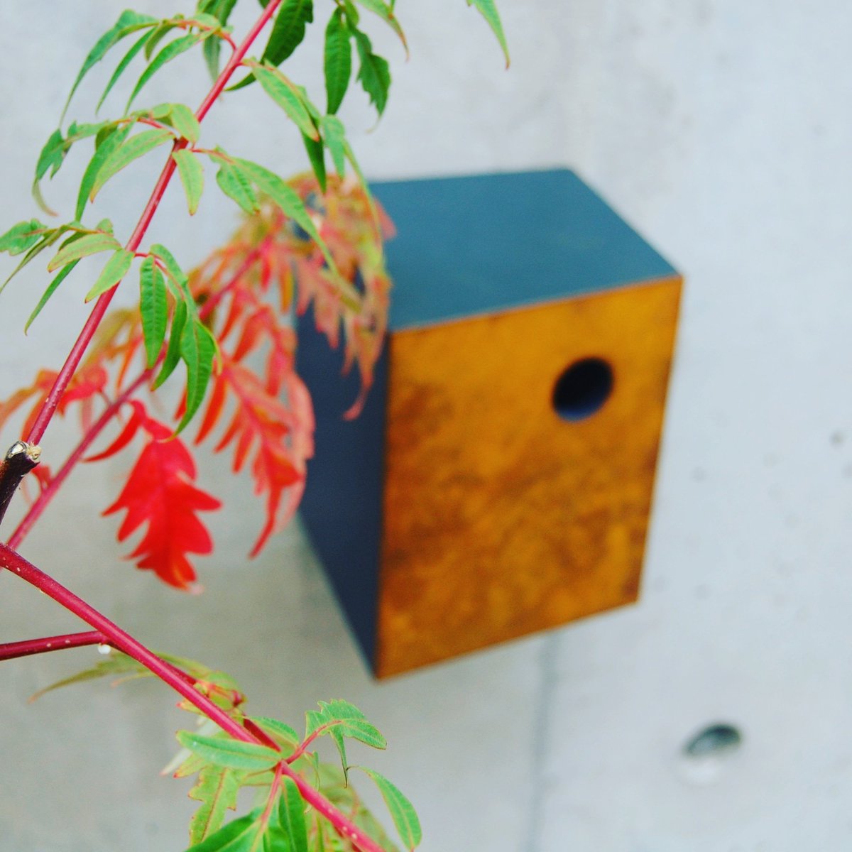 HollingtonJohn's tweet photo. URBAN NESTBOX I Free delivery on webshop orders!

https://t.co/PpWoPpb3Un 

#nestbox #urbangarden #gardendesign #gardenbirds #birdbox #conservation #nature #birdwatching #londonwildlife #rspb #birding #gardenart #landscapegardening #gardening #spring #art #architecture #sculpture https://t.co/52lTjxmKIr