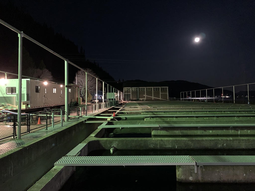 USFWS_CRFWCO's tweet photo. What the heck is a Worm Moon? The first March Full Moon is called a #WormMoon, as it coincides with the spring thaw which allows earthworms to venture out of the ground. Plus 👏 for #MarkingCrew for their long hours & hard work! Someone #Tellme more names for March Full Moons! https://t.co/vCL1ltVoO4