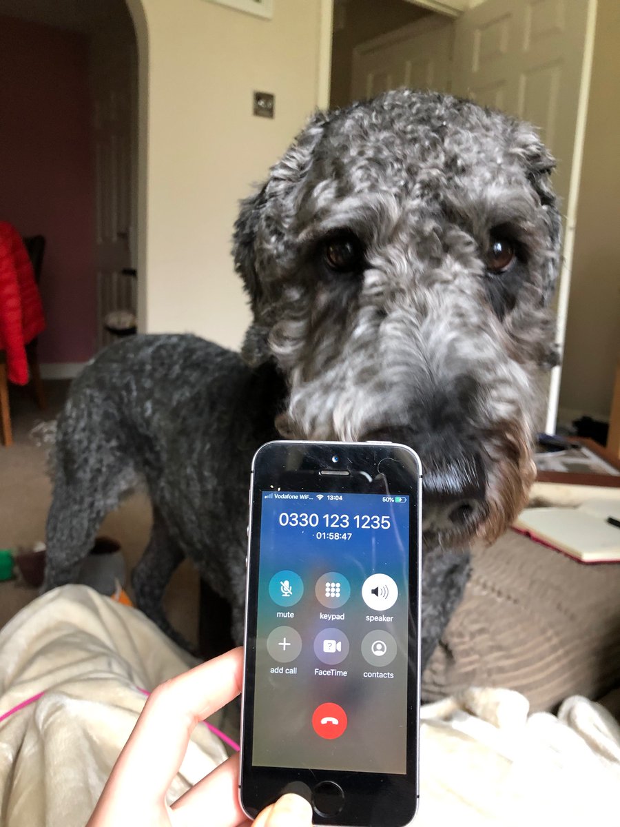 vala_graham's tweet photo. On hold to @Expedia for nearly 2 hours now trying to get our money back for our trip to Rome this weekend, crazy you can’t just cancel online!!!! #30thbirthdayathome #pleasepickup 😫😫😫 https://t.co/j2K01Z7kZR