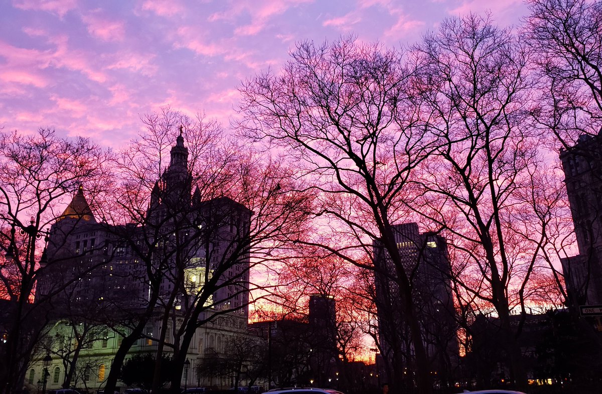 unclejohncat's tweet photo. #Ny1pic https://t.co/9r1clrUTqj