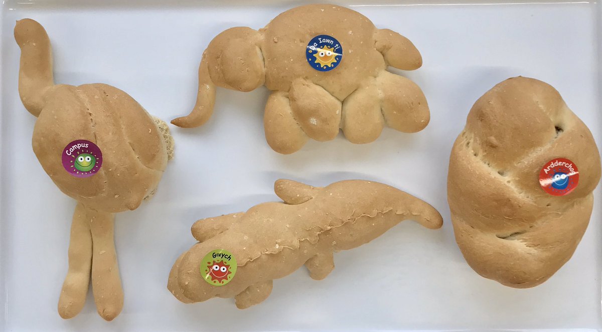 Really great bread making skills at Ysgol Goronwy Owen (Anglesey).
Some good examples: Emu, Elephant, Crocodile &amp; a nice plait.
Ardderchog - Excellent. Campus - Great. Da Iawn ti - Well done you Gwych - Fantastic <a href="/caterlink_ltd/">Caterlink Ltd</a>