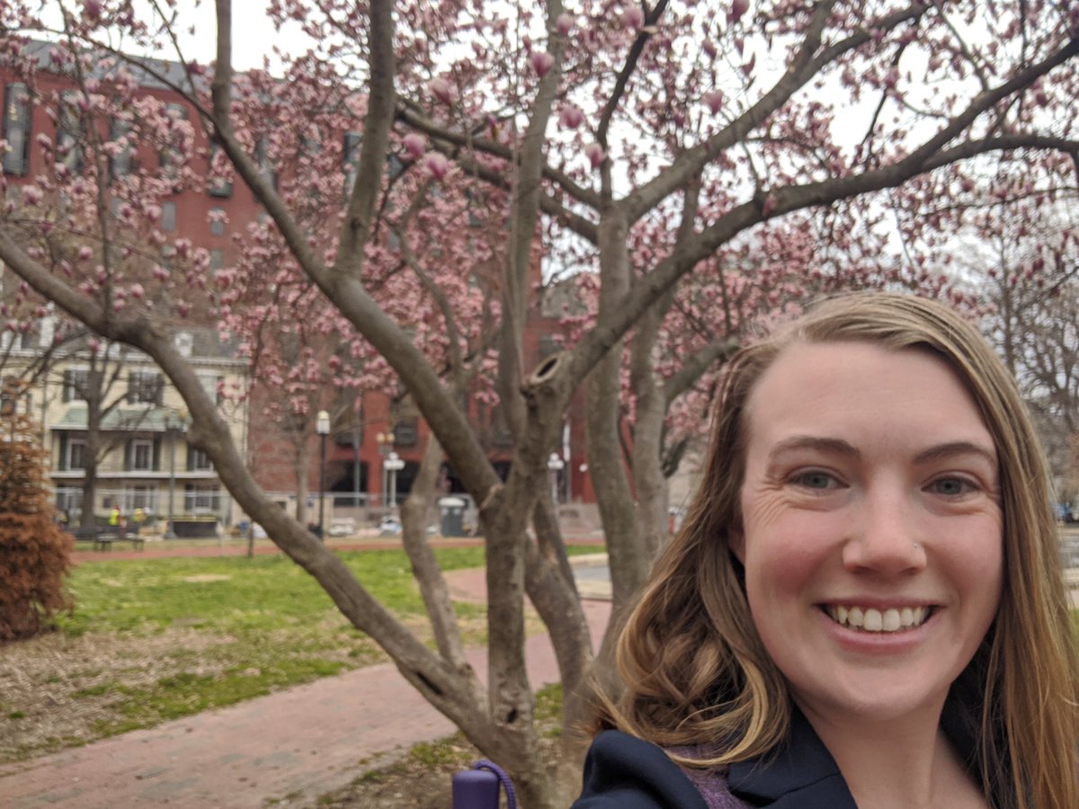Overcast and cool today in DC, but the Cherry Blossoms are starting to arrive! This is my first trip to DC during Cherry Blossom season. 

#cherryblossoms #washingtondc
