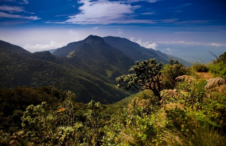 Бутан шри ланка шри ланка прогноз. Нагорья центральной Шри-Ланки. Плато Хортон Шри Ланка. Хортон Плейс национальный парк Шри Ланка. Пидуруталагала Шри-Ланка.