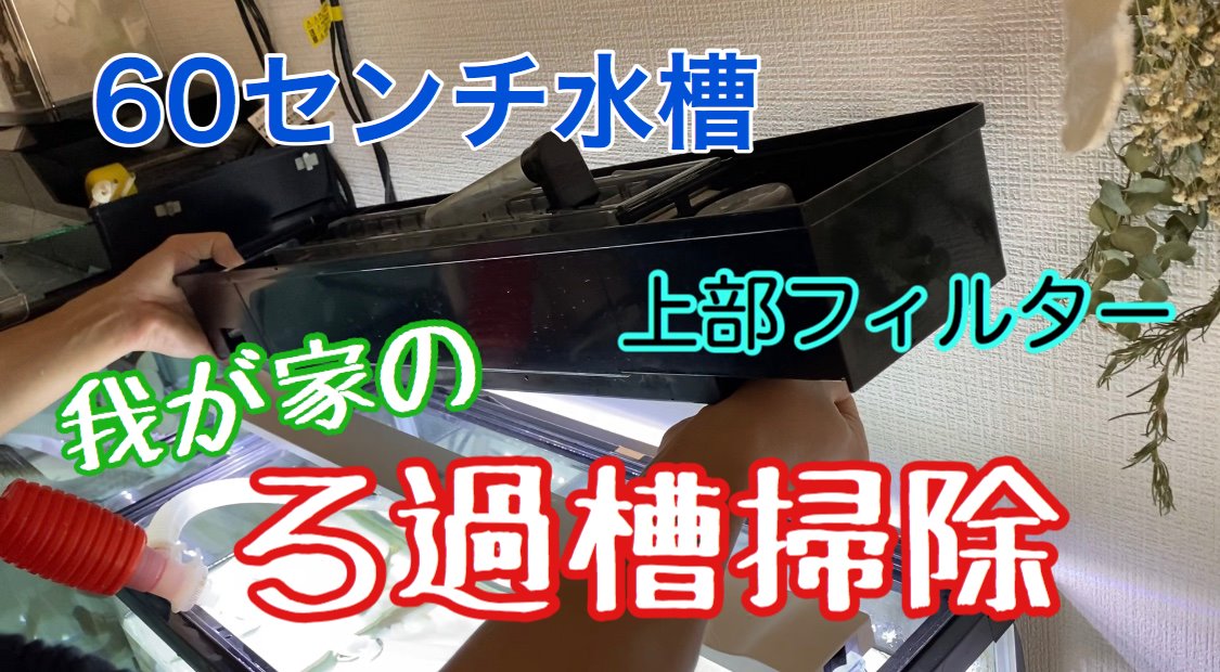 Cancelo ろ材 No Twitter