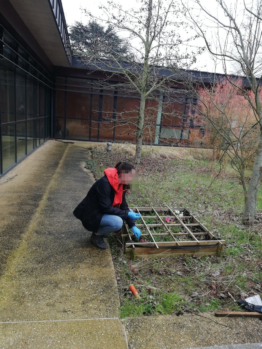 LyceeVert's tweet photo. Aujourd'hui le #lyceevert était au jardin du patio G3 pour lui donner un petit coup de neuf à l'occasion de la sortie de l'hiver. Merci aux élèves qui sont passés, rendez-vous la semaine prochaine 💪🌱 #lyceeecoresponsable #ecolycee #ecoecole #Montgeron #lyceerosaparks https://t.co/7oWb6h1u1V