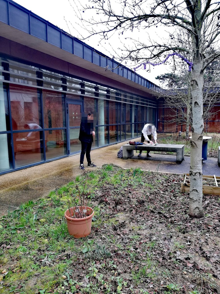 Aujourd'hui le #lyceevert était au jardin du patio G3 pour lui donner un petit coup de neuf à l'occasion de la sortie de l'hiver. Merci aux élèves qui sont passés, rendez-vous la semaine prochaine 💪🌱 #lyceeecoresponsable #ecolycee #ecoecole #Montgeron #lyceerosaparks