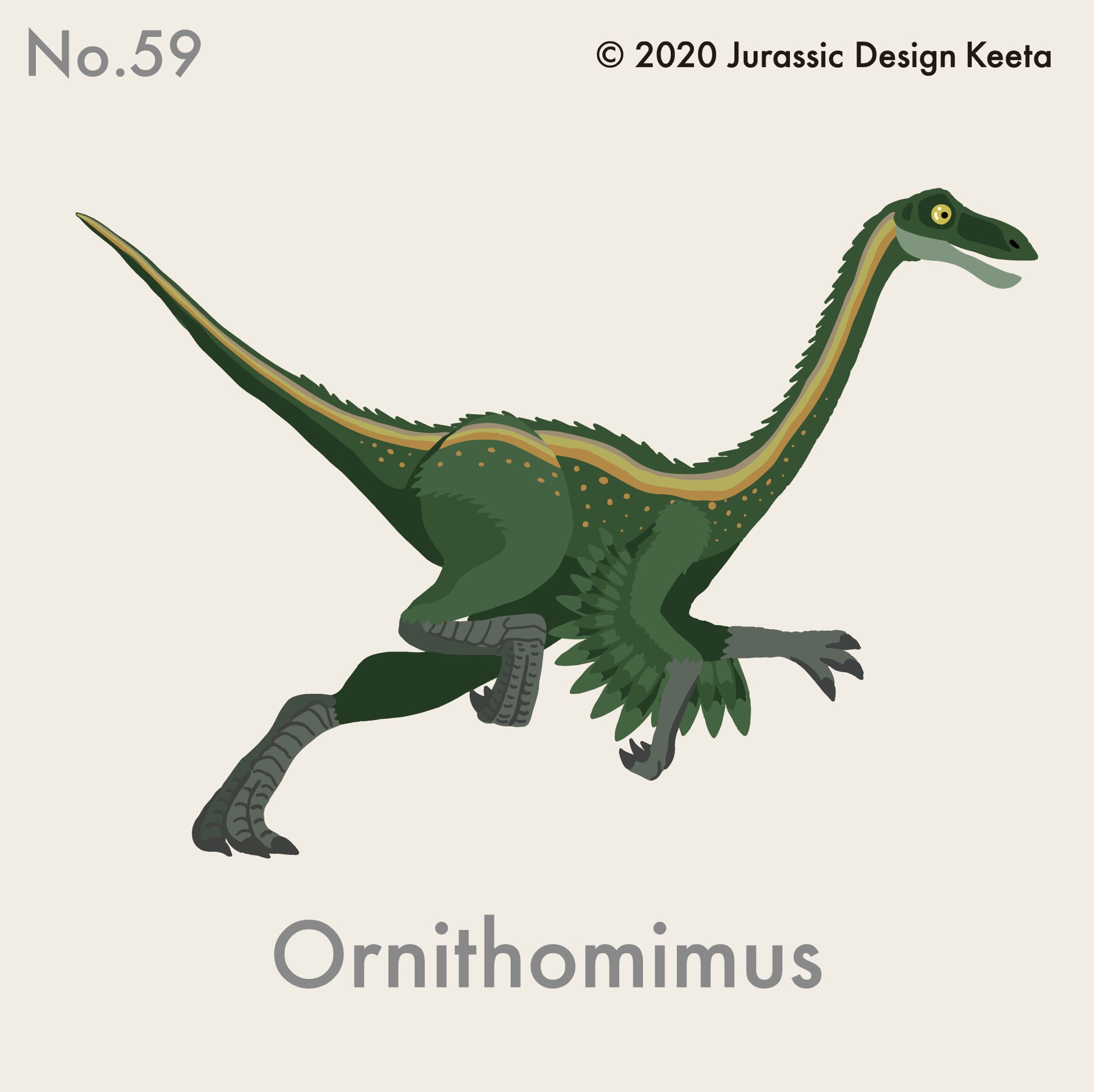 تويتر ケータ 倉敷市立美術館7 23 8 28 على تويتر No 059 Ornithomimus オルニトミムス Keeta 足が速いダチョウのような恐竜 ジュラシックパークで出てくるのは ガリミムスという 違う種類のやつらしい Juratopia ジュラトピア 恐竜 恐竜