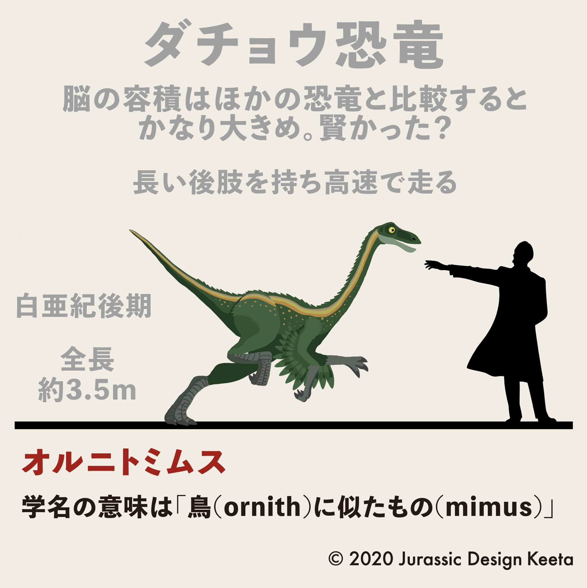 تويتر ケータ 恐竜イラストレーター على تويتر No 059 Ornithomimus オルニトミムス Keeta 足が速いダチョウのような恐竜 ジュラシックパークで出てくるのは ガリミムスという 違う種類のやつらしい Juratopia ジュラトピア 恐竜 恐竜