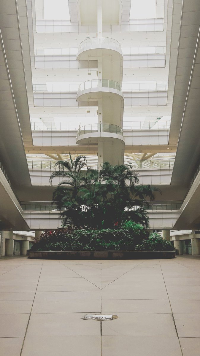 ShigureKaito's tweet photo. ITE Central | Singapore 🇸🇬
|
#singapore #ite #itecc #adobe #adobelightroom #lightroom #canon #canonasia #photography #school #campus #aesthetics #green #greens #warm #warmtones #architecture https://t.co/n7W1qL7pzQ