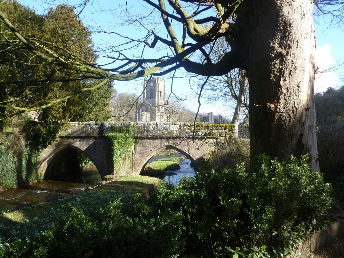 BelmontGrosveno's tweet photo. Thanks @fountainsabbey @NT_TheNorth @nationaltrust for a great day out - our #BGS #PreReception pupils LOVED the sensory trail and learned so much @CLOtC @ForestSchools @ForestSchoolUK #Yorkshire #Harrogate #Independent #prepschool https://t.co/uVaYeSB49i
