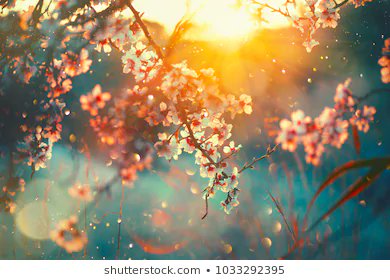 SscDirect's tweet image. 