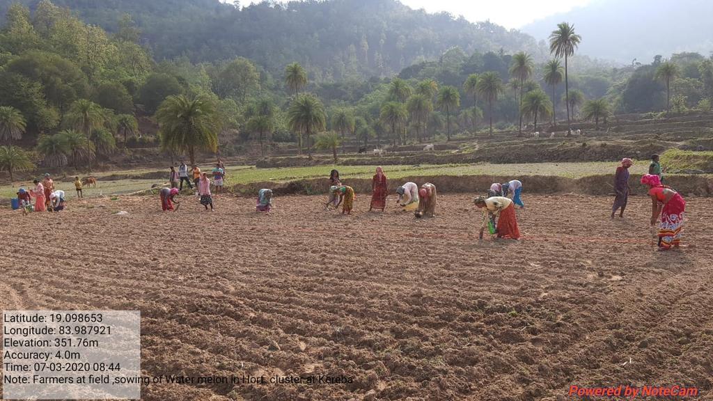 LPuttasing's tweet photo. Water melon seed dibbling by Women farmers combinely at Horticultural  cluster farming (Viĺlage: Kereba) supported by LSDA-OPELIP, Puttasing https://t.co/rQJXE3zp2J