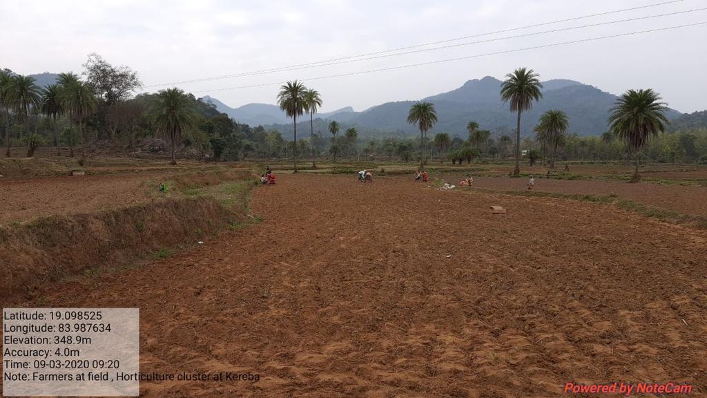 LPuttasing's tweet photo. Water melon seed dibbling by Women farmers combinely at Horticultural  cluster farming (Viĺlage: Kereba) supported by LSDA-OPELIP, Puttasing https://t.co/rQJXE3zp2J