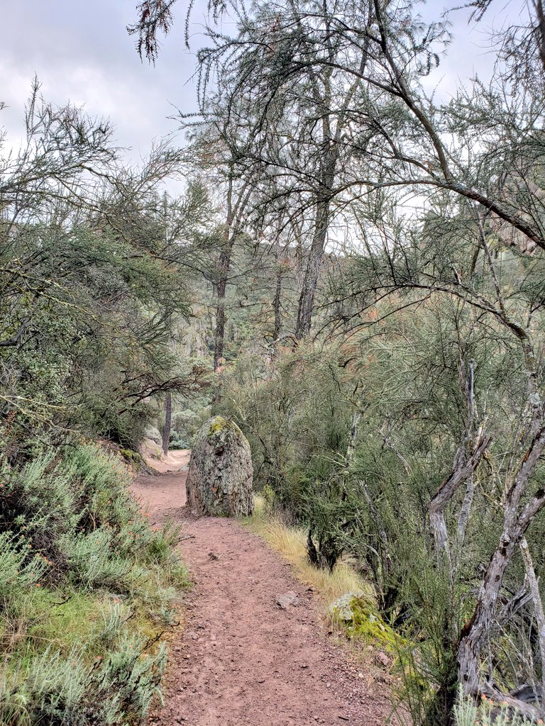 tinyocean_rving's tweet photo. #RVTrip3 Last one of these. 😊 @PinnaclesNPS #impressions #beautiful #nature #hiking #trail #RVingUS https://t.co/UntwRr576X