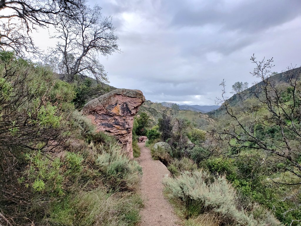 tinyocean_rving's tweet photo. #RVTrip3 Last one of these. 😊 @PinnaclesNPS #impressions #beautiful #nature #hiking #trail #RVingUS https://t.co/UntwRr576X