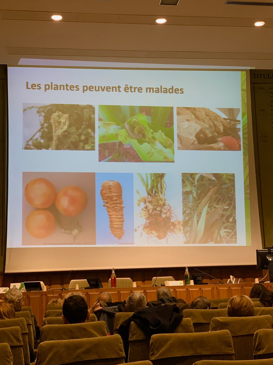 AcademieAgri's tweet photo. Petit rappel très utile de @EPPOnews cet après-midi lors du Colloque #AEHA #CGEDD de ce jour « #agriculture et #environnement : #santé des #plantes santé des #hommes » ! https://t.co/k8CVyJzgHY