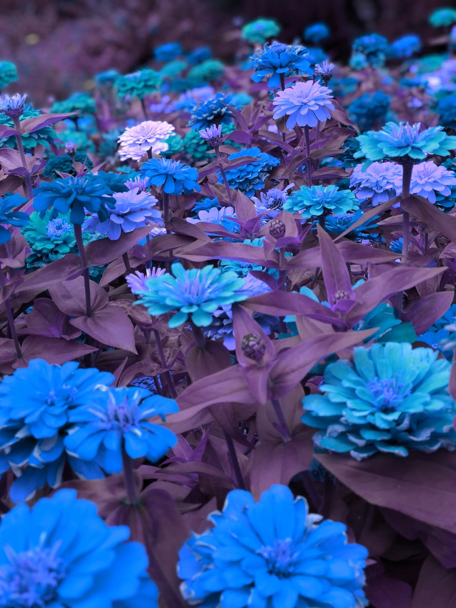 ReposeRecords's tweet image. Currently being manufactured, pre-orders soon:

Nietzu - Cast a Cold Eye MC @Nietzu1 
Omnikinetic - Kinesis MC
Winterblood - Luftschloss A5 CD @winterblood1978