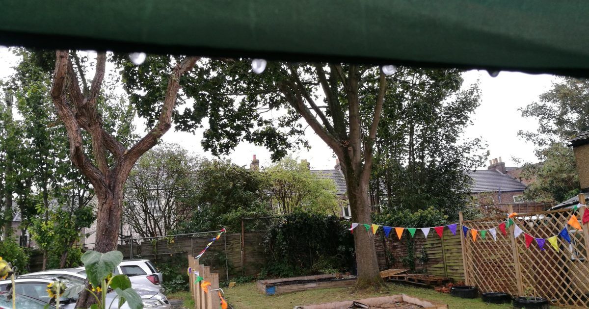 EventsLuton's tweet image. Sat 14th March 2020 : 10:00am - 12:00pm
EDWARD ST COMMUNITY GARDENING DAY
Family-friendly community gardening at the Edward St garden, High Town
buff.ly/2vNehtU