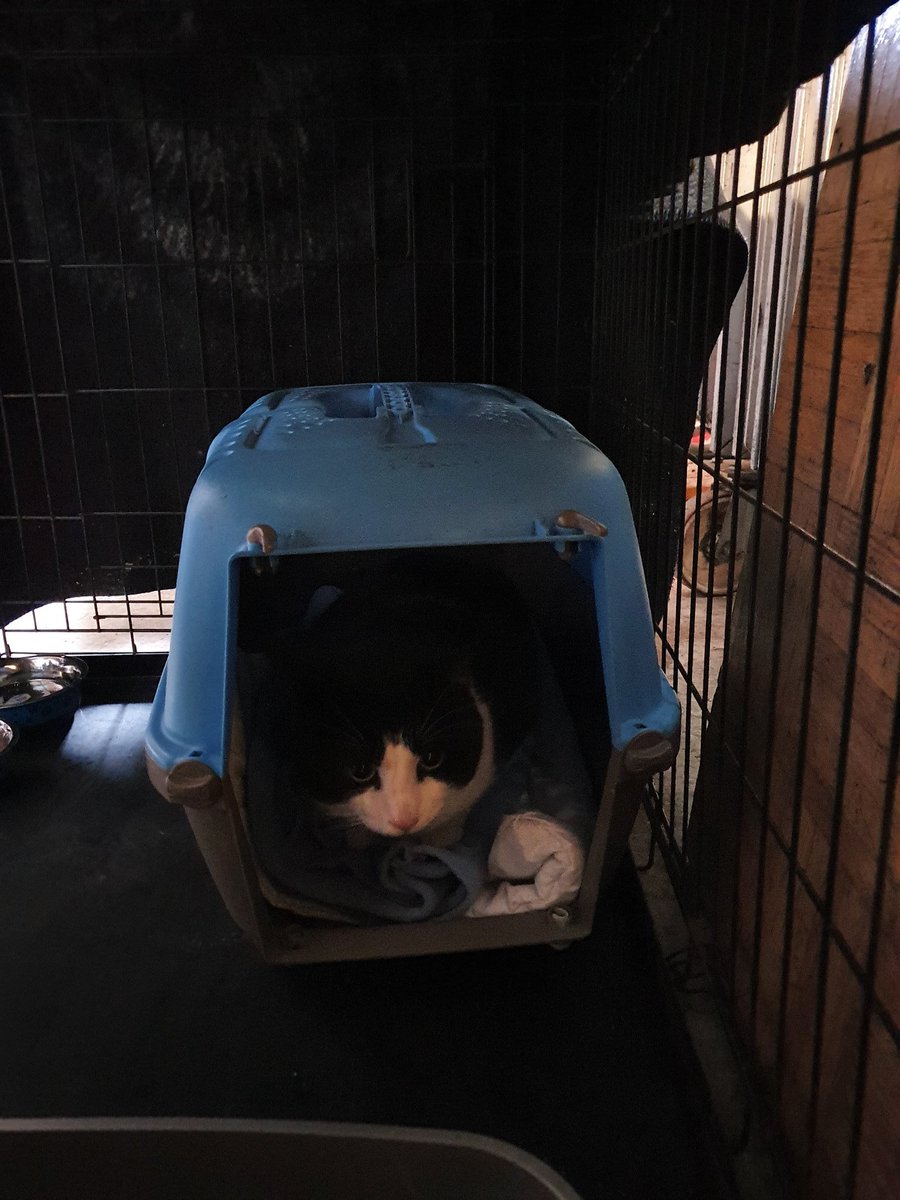 Kent Marquee Hire tweet media