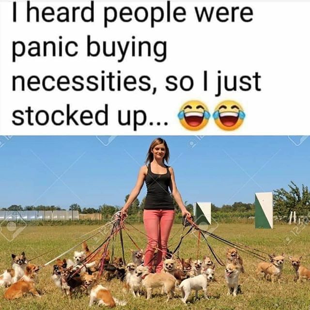 Jus4paws's tweet photo. https://t.co/5XNov3AFdd https://t.co/2irx4A2UMk
