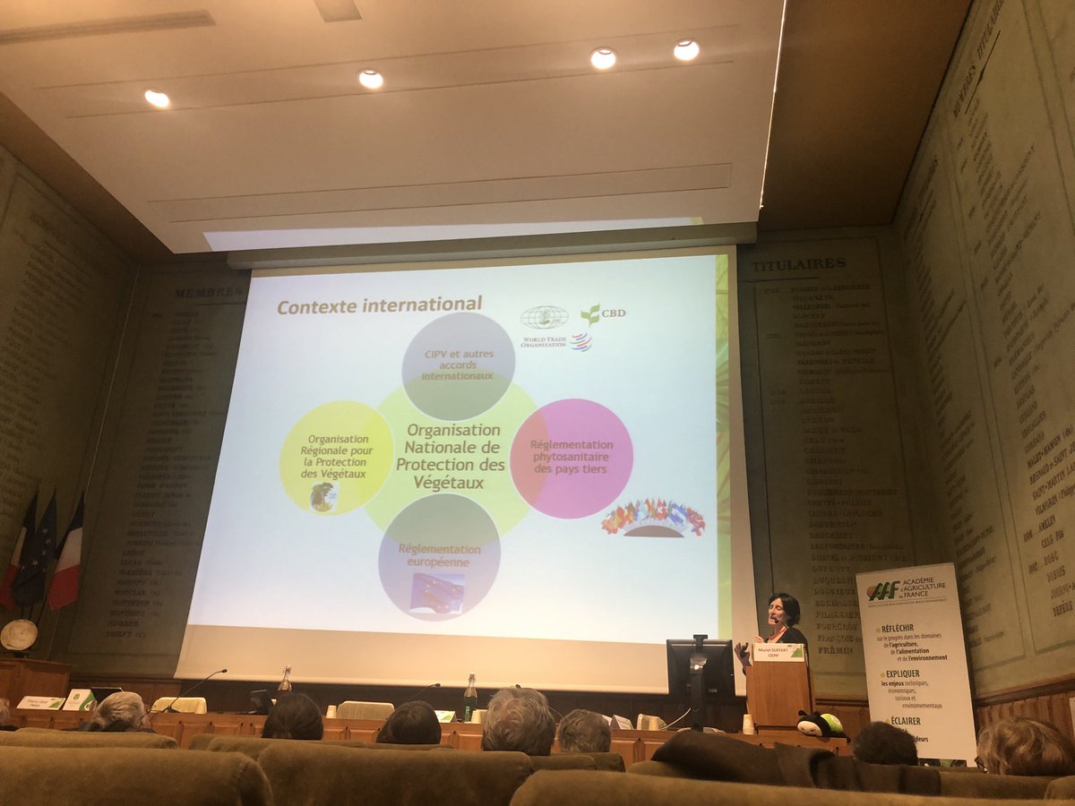 a_roux84's tweet photo. ➡️Le contexte international de l’organisation nationale de protection des végétaux expliqué par @EPPOnews. (Colloque organisé par #AEHA dans les locaux de @AcademieAgri)
#PlantHealth #SantédesVégétaux #IYPH2020 #onehealth https://t.co/VSSlwvryKg