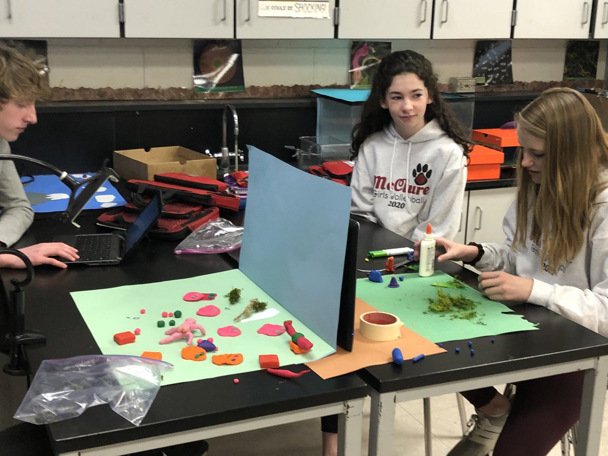 Theresa Kelly tweet media