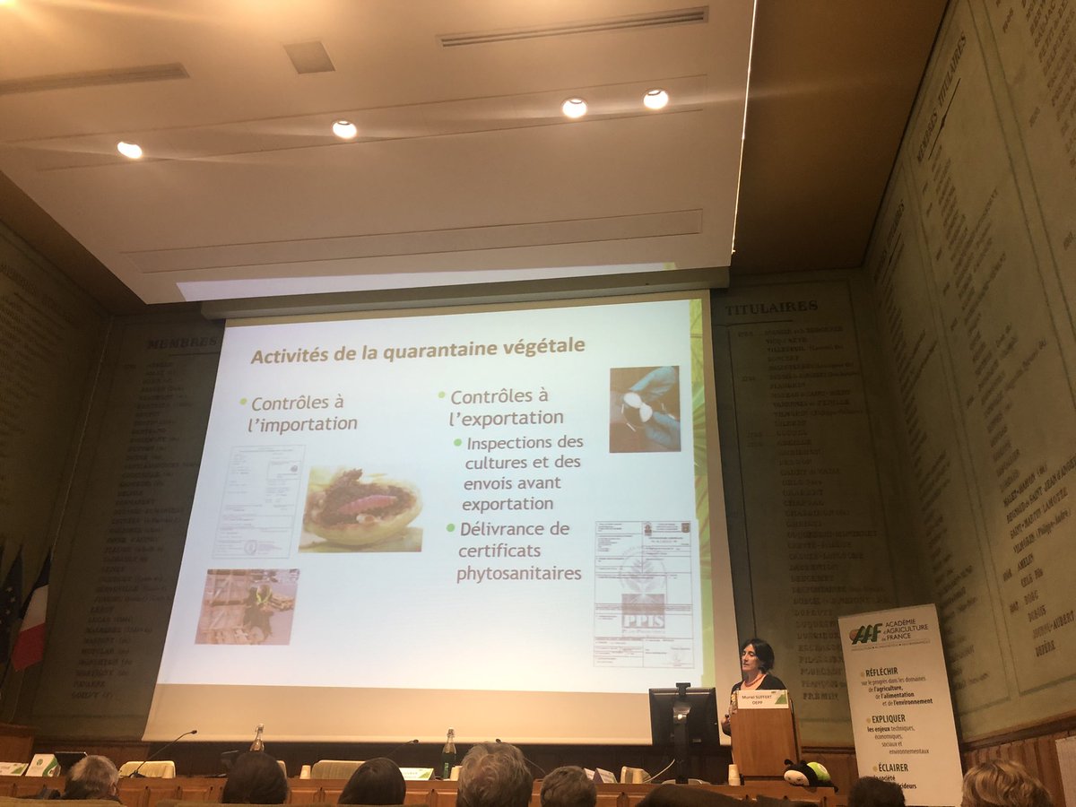 a_roux84's tweet photo. Colloque organisé par #AEHA dans les locaux de @AcademieAgri. ➡️Rappel de l’importance de la quarantaine végétale par @EPPOnews.
#PlantHealth #SantédesVégétaux #IYPH2020 #onehealth https://t.co/NfpAPyTdj2