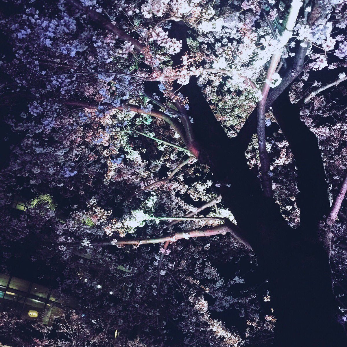 *:..｡o○☆ﾟ･:,｡*:..｡o○☆*:ﾟ･:,｡*

#세븐틴 #정한 #SEVENTEEN #Jeonghan

[ <a href="/3jHighness/">3JHighness</a> ] 님

*:..｡o○☆ﾟ･:,｡*:..｡o○☆*:ﾟ･:,｡*