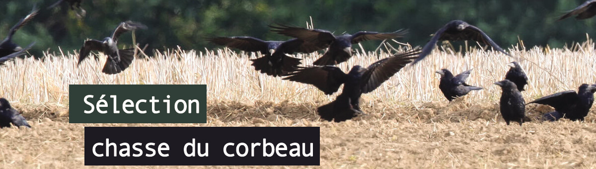 cotechasse's tweet photo. Tout pour la chasse du corbeau c'est par ici >> https://t.co/UPoauQURB1

#corvidé #côtécorbeau #chasseducorbeau https://t.co/360SzEeLfU