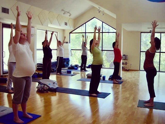 TriangleYogaNC's tweet photo. PRENATAL YOGA classes help prepare the body and mind of the new mother. Join us every Monday at 6::15pm! https://t.co/Qb6aSMd7Y5 https://t.co/4THmvaVDbA